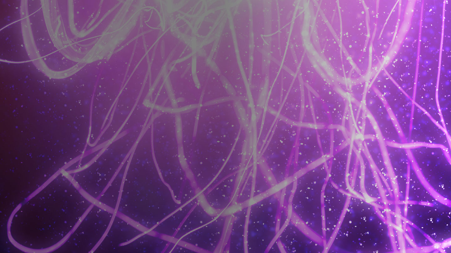 PageHeaderNews10